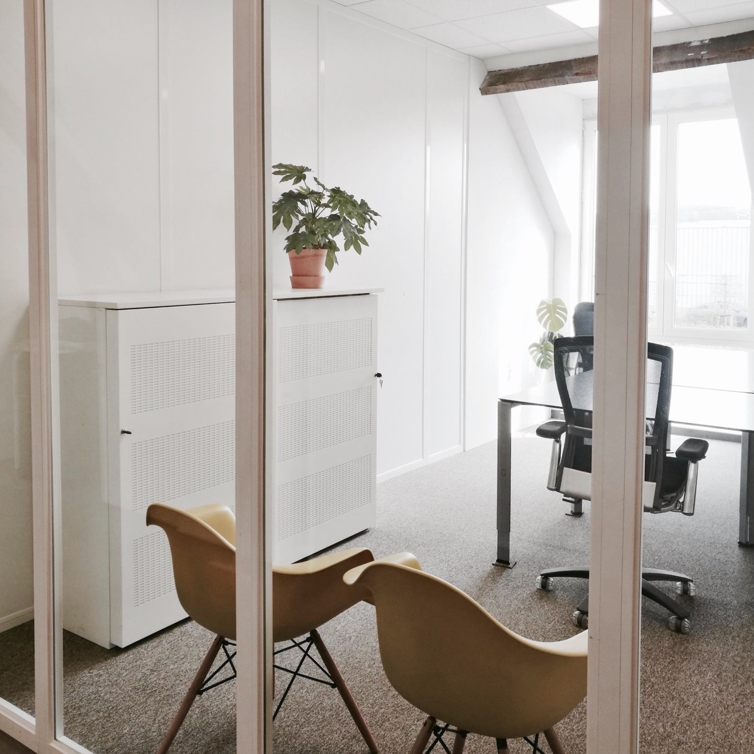 Een moderne kantoorruimte met glazen wanden, twee gele stoelen, een witte kast met plant, en een werkplek bij een groot raam.